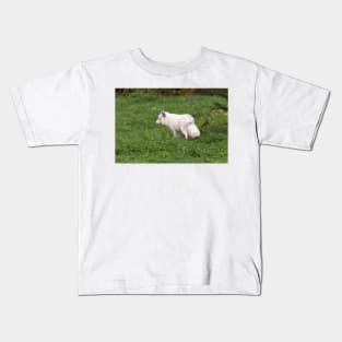 Arctic Fox Kids T-Shirt